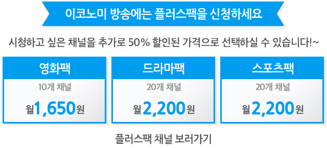추가채널팩